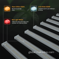 600W Led Grow Lights 8Bar Plant Lamp